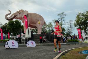 BIB: 
                            <button type="button" onclick="openModal(26528922)" class="btn btn-primary btn-sm float-right btn-popup" data-toggle="modal" data-target=".modal-high-quality">
                        <i class="fas fa-shopping-cart"></i> Add to Cart
                    </button>
                                            <button type="button" onclick="isThisMe(26528922, true)" class="btn btn-success btn-sm float-right btn-popup btn-isme hidden" data-toggle="tooltip" data-placement="bottom" title="นี่คือรูปของคุณใช่ไหม คลิกที่นี่เพื่อเอาเข้าอัลบั้ม">
                        <i class="fas fa-plus"></i> Add to album
                    </button>
                    <button type="button" onclick="isThisMe(26528922, false)" class="btn btn-warning btn-sm float-right btn-popup btn-isnotme hidden">
                        <i class="fas fa-ban"></i> Remove from album
                    </button>